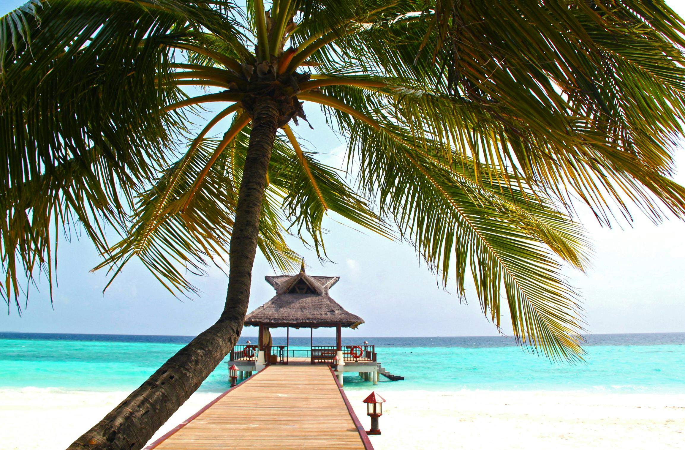 Scenic tropical island pier with palm trees and turquoise sea under clear blue skies.